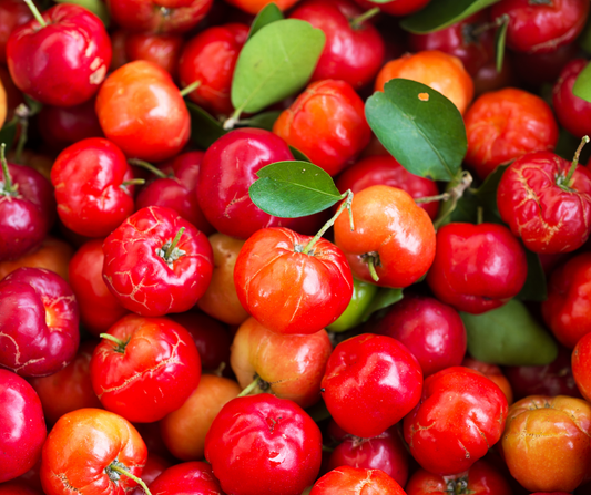 Acerola - The Superfood Secret: Unleashing the Power of Acerola Cherry