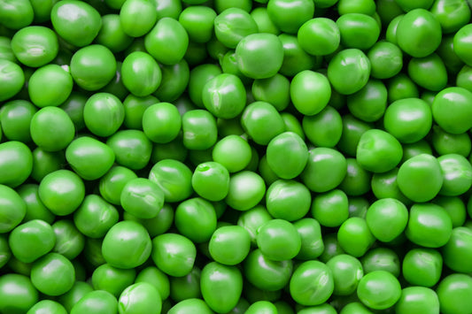 Pea Protein - The Rise of Pea Protein: A Plant-Based Powerhouse for Athletes and Vegans